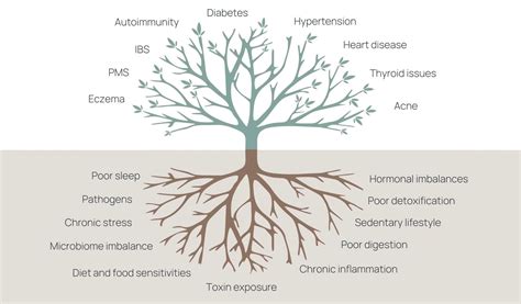 Wheel of Health Model