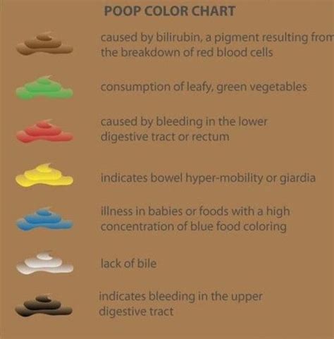 color of your poop chart stool color changes and chart what does it ...