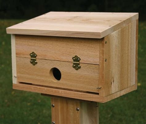 Shelter from the Storm: Winter Roosting Boxes - Gardenista | Bird house ...