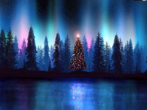 Magical tree line, colors, sky, christmas, trees, HD wallpaper | Peakpx