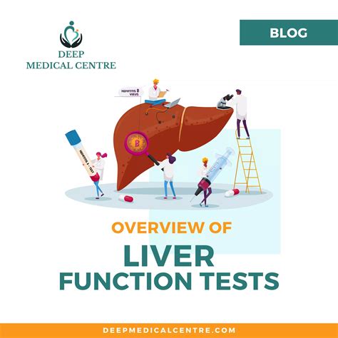 Liver Function Tests: An Overview - Deep Medical Centre