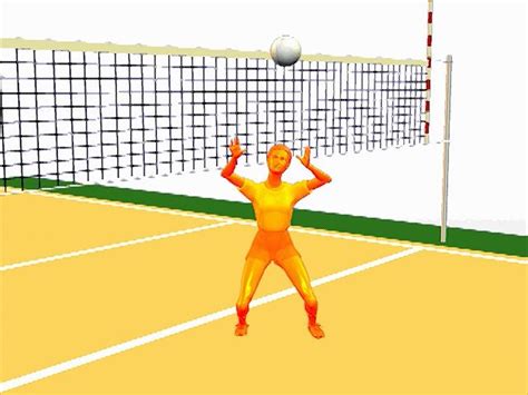 How To Set The Volleyball Cheap Buy, Save 40% | jlcatj.gob.mx