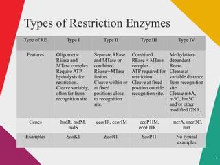 Restriction enzymes and their types | PPT