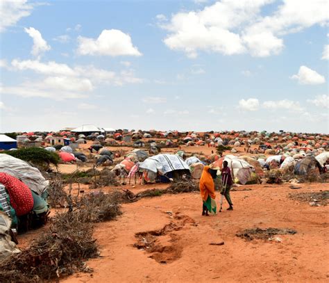 Somalia: Supporting famine prevention response and crisis-affected ...