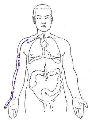 Lung Meridian - Controls Breath and Energy