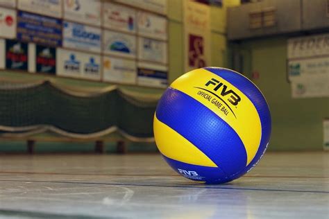 Best Volleyball [2024 Review] | AthleticLift