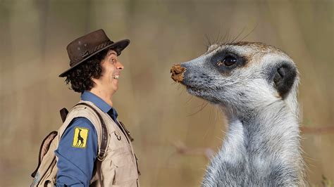 BBC iPlayer - Andys Safari Adventures - Series 1: 2. Andy and the Meerkats