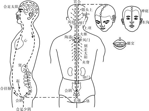 (一)经脉循行(图15-1)-经络腧穴-医学