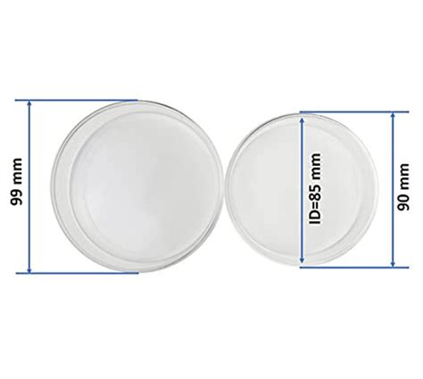 QWORK Sterile Glass Petri Dish Petri Plates with Lid,5 Pack, Thicken ...