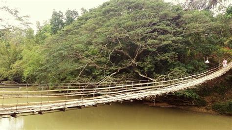 Bamboo hanging bridge | Bohol, Philippines, Bridge