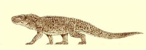 Baurusuchus by Kahless28 on DeviantArt | Prehistoric creatures, Prehistoric animals, Animals