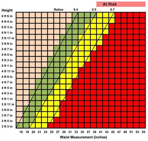 Pin on Waist to Height Ratio Better than BMI as Excess Weight Guide