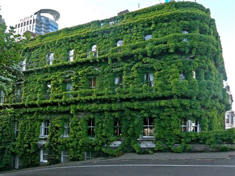 Green Buildings: A Viable Solution To Urbanization?