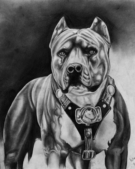 pitbull art | Image chien, Chien pitbull, Tatouage pitbull