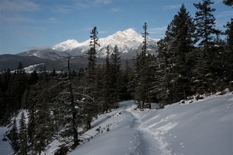 4 Reasons to visit Jasper, Alberta in Winter – Bearfoot Theory