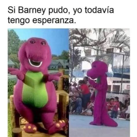 Barney pudo - Jaidefinichon