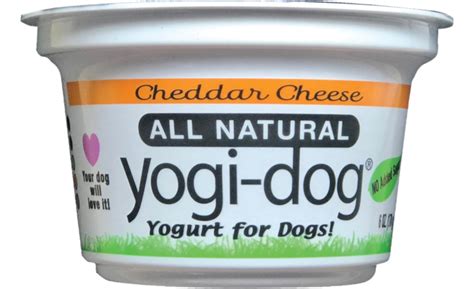 Yogi-Dog creates yogurt for dogs | 2020-05-11 | Dairy Foods