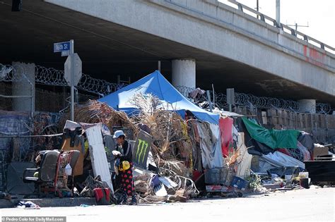 Shocking pictures show tent cities alongside LA freeways | Daily Mail Online