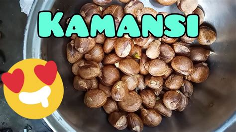 KAMANSI : A FAMOUS NUT LIKE FRUIT IN OUR PROVINCE - YouTube