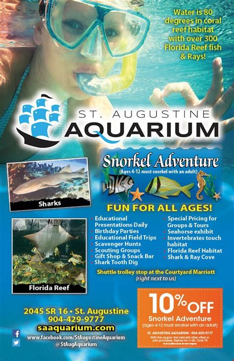 St Augustine Aquarium And Snorkel Adventure - Aquarium Views