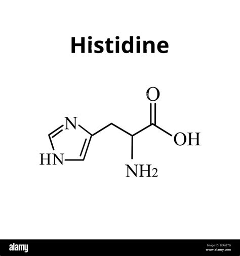 Amino acid Histidine. Chemical molecular formula Histidine amino acid ...