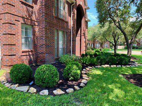 Hardwood Mulch In Landscape Bed