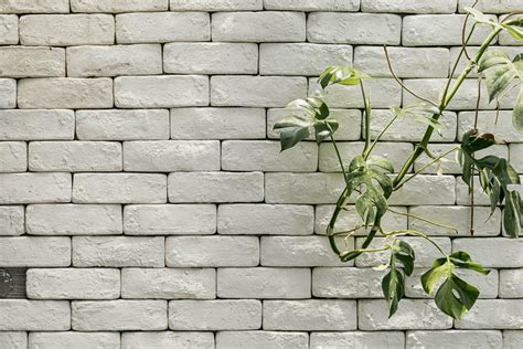 white brick wall with green plant at the corner 26550098 Stock Photo at ...