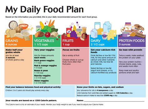 Food Groups And A Balanced Diet - creditcardgala