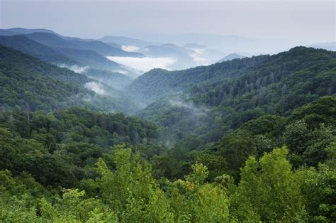 Smoky Mountains | California Tour Blog