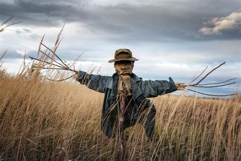 184 Scarecrow Wheat Field Stock Photos - Free & Royalty-Free Stock Photos from Dreamstime