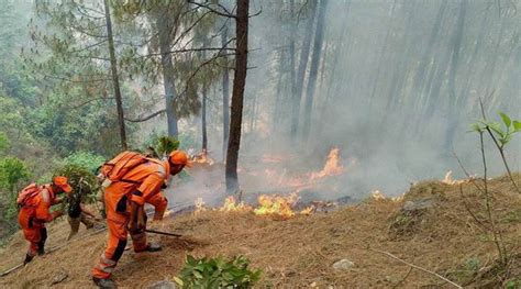 Fresh forest fires in Uttarakhand destroy 180 hectares of green cover | India News - The Indian ...