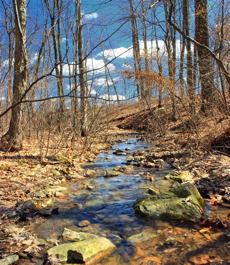 Perimeter Trail (8) | Spring-fed headwaters of Monocacy Cree… | Flickr
