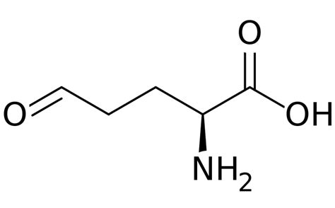 Difference Between Glutamine and Glutamate | Compare the Difference ...