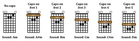 Guitar Cheat Sheet Says Capo on the Fourth Fret - Theory - BassBuzz Forum