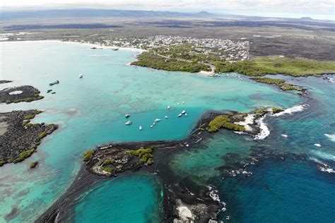 2023 Day Tour to Isabela Island with Tintorera Islet, Snorkeling ...