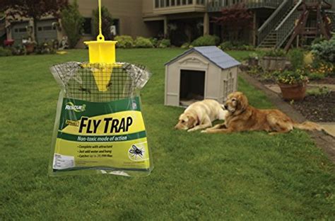 RESCUE! Non-Toxic Disposable Fly Trap - The Fly Killer Guide