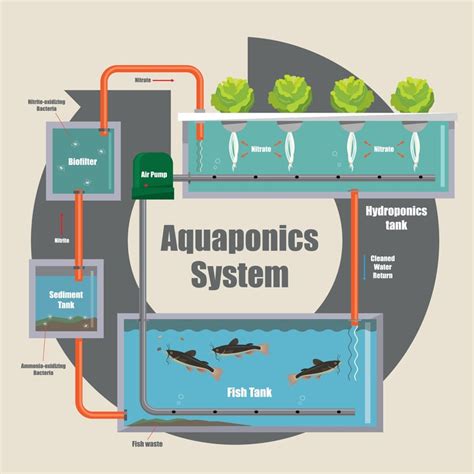 Pros And Cons Of Outdoor Hydroponics - The Hydroponics Guru