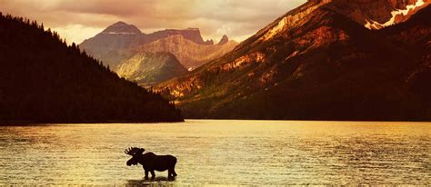 Parc national des Lacs-Waterton - l'Encyclopédie Canadienne