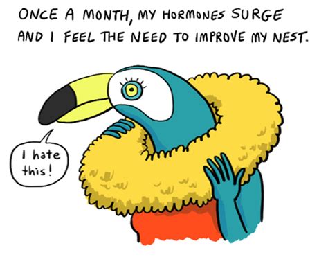 Tuca the Toucan — Lisa Hanawalt