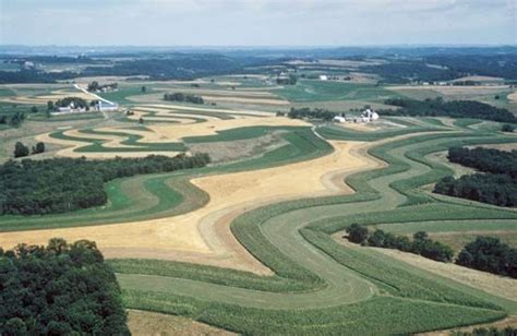 Strip-cropping | agriculture | Britannica.com