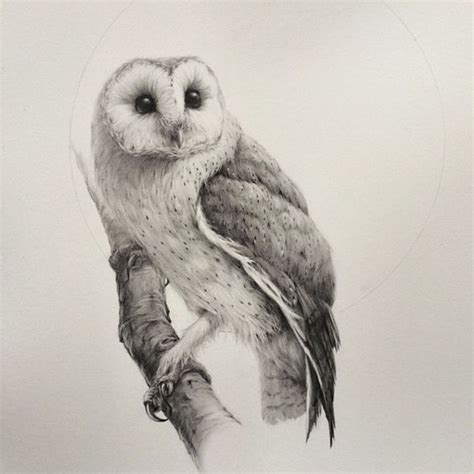 50 best Tattoo Pencil Sketches Of Owls images on Pinterest | Pencil drawings, Owl drawings and Owls