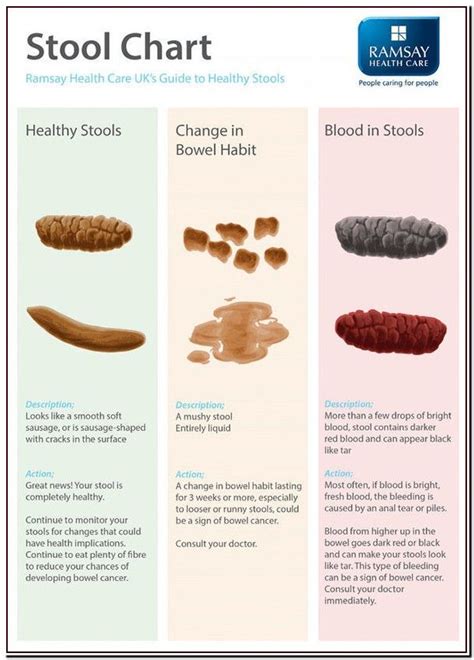 What Does Fat Look Like In Your Stool - What Does