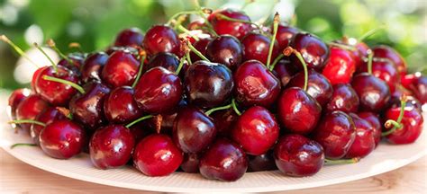 Are Bing Cherries Sweet or Tart? | Farm Fresh Fruit Gifts