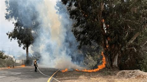 North County brush fires: San Diego County Sheriff investigating