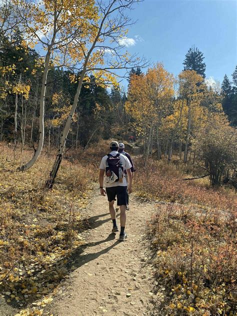 Panorama Point Trail - Colorado | AllTrails