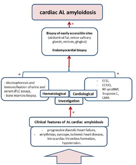 How To Diagnose Amyloidosis - Electricitytax24