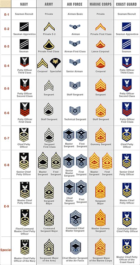 United States Military Rank Structure for the Air Force, Army, Marines, Navy, National Guard and ...