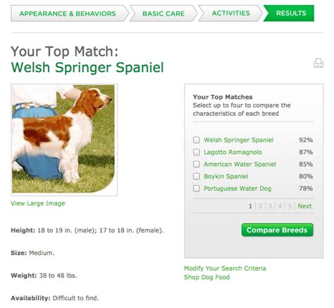 8 Dog Breed Selector Tools For Find Your Perfect Dog!