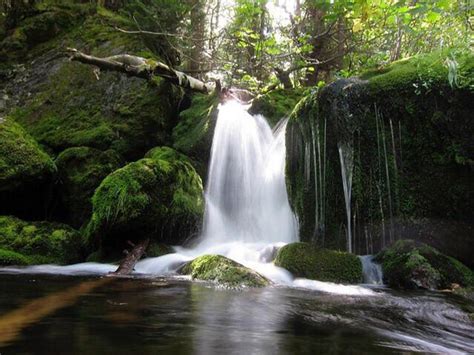 Best Waterfalls In & Around Dehradun- Amazing Waterfalls in Dehradun