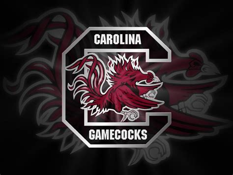 South Carolina Gamecocks Wallpapers Free - WallpaperSafari